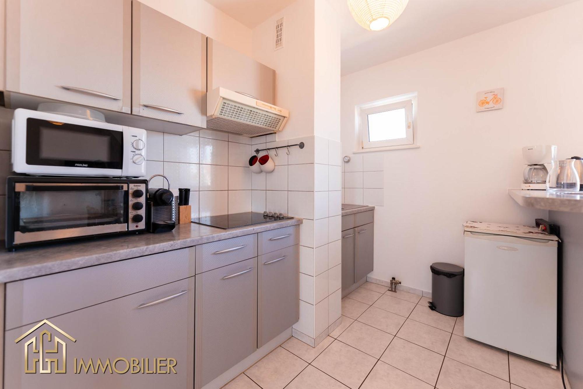 Appartement L'Orient - Parking Colmar Ngoại thất bức ảnh