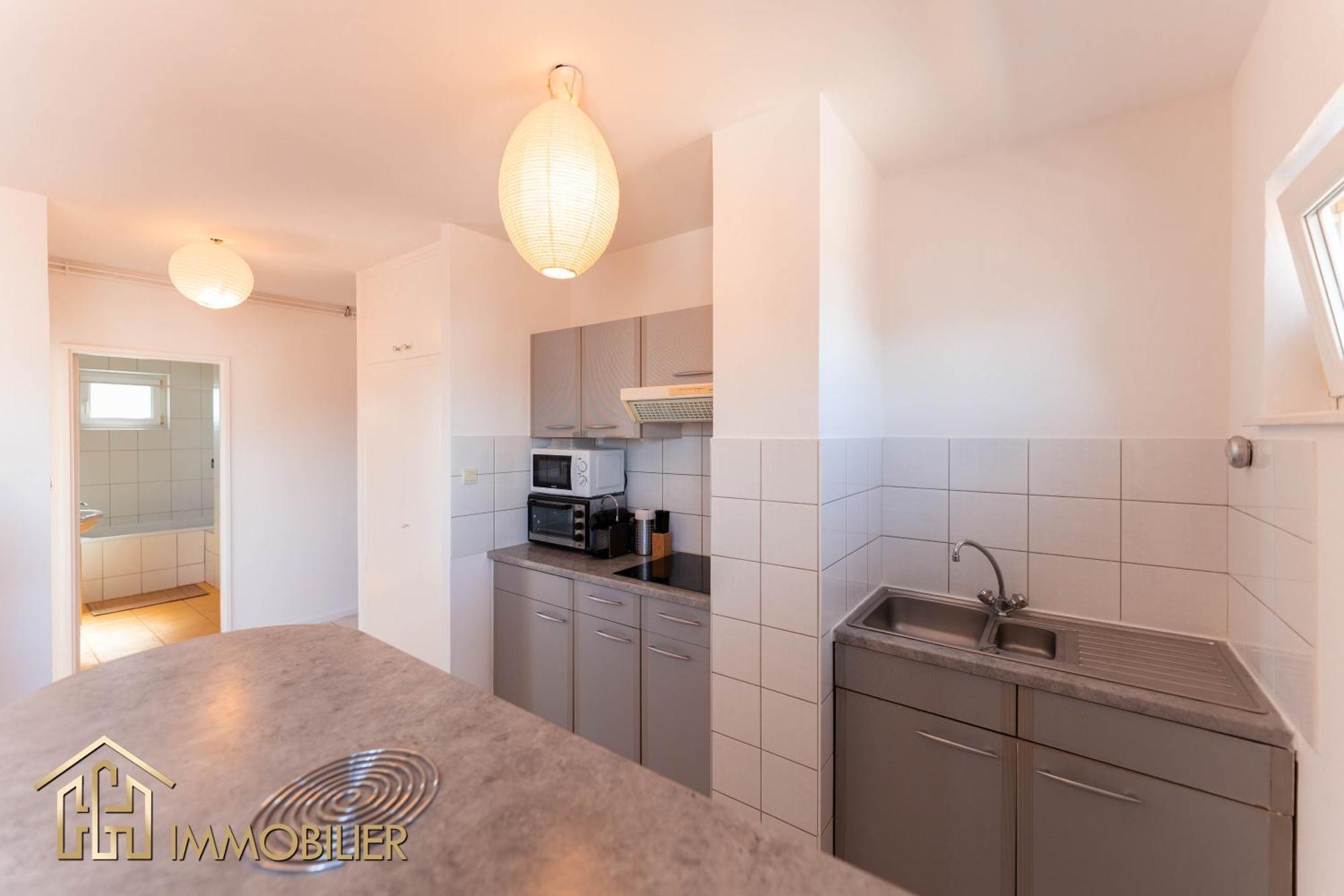 Appartement L'Orient - Parking Colmar Ngoại thất bức ảnh